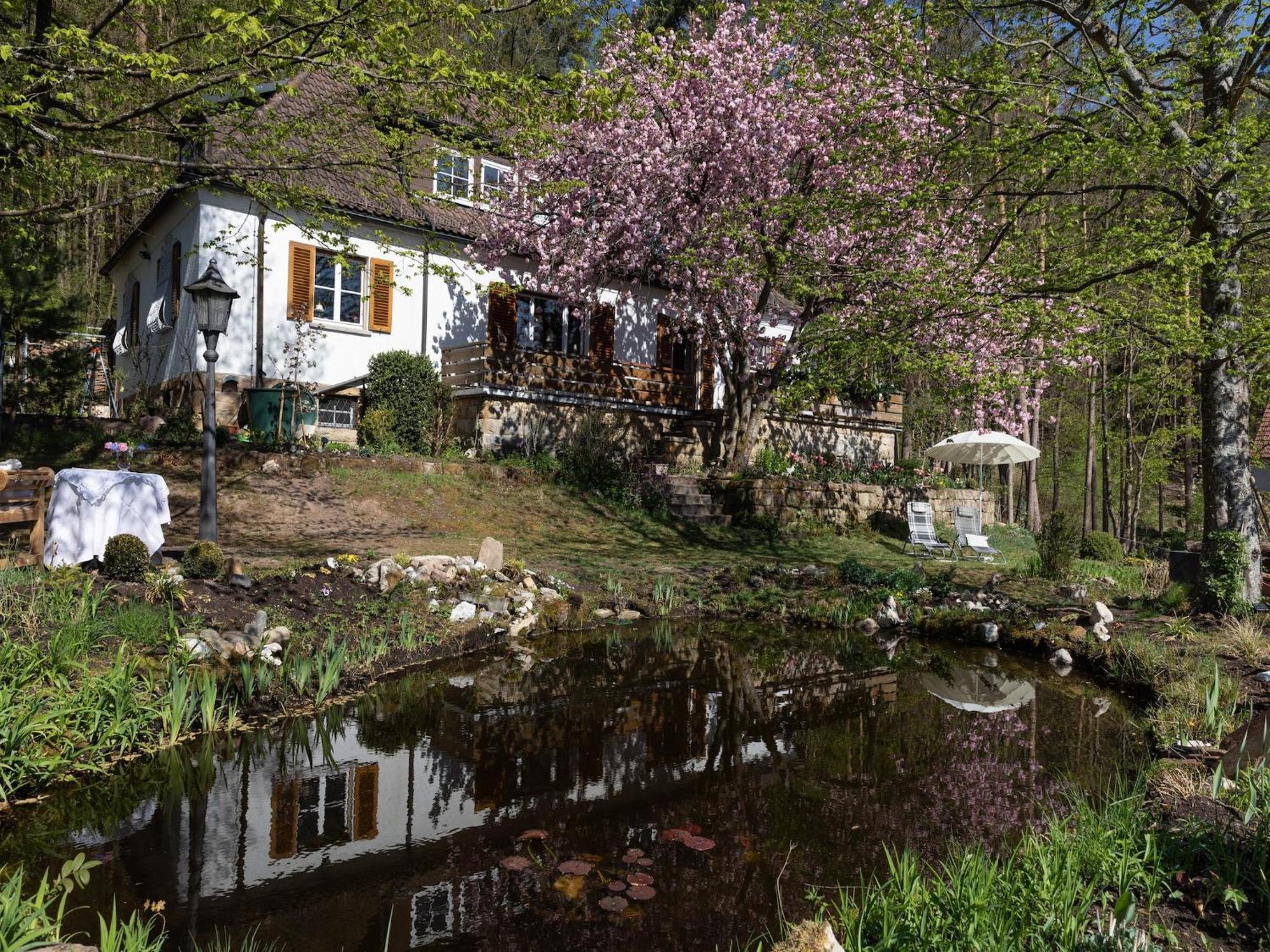 Charming Apartment In Wei Enbrunn Near Forest Weissenbrunn Dış mekan fotoğraf